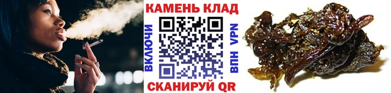 Купить закладки Саяногорск ГАШ VHQ