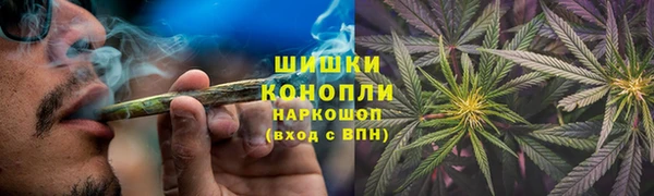 индика Алзамай