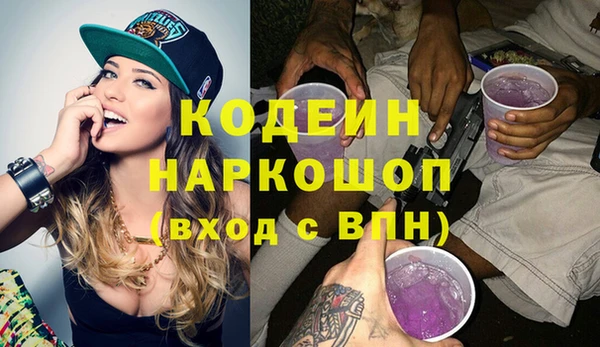 индика Алзамай
