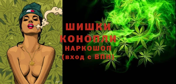 индика Алзамай