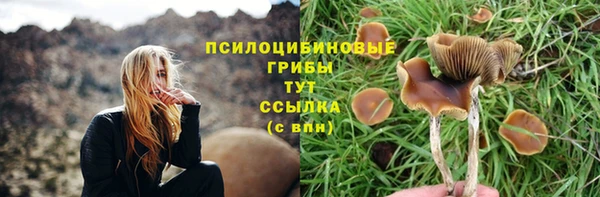 гидра Алексин