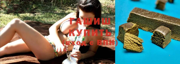 индика Алзамай