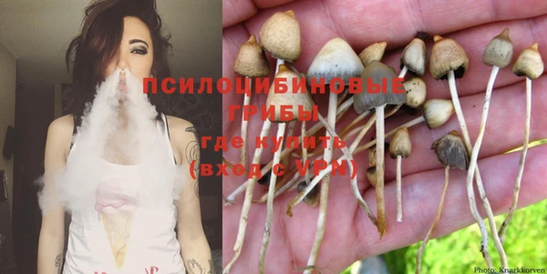 индика Алзамай