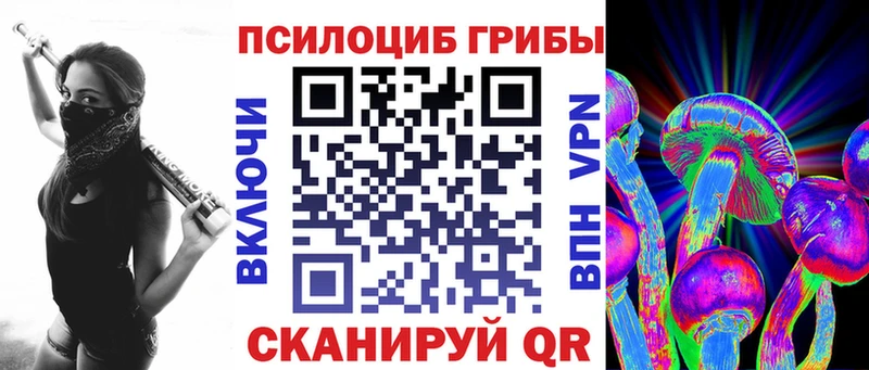 Псилоцибиновые грибы Psilocybine cubensis  Купить  Саяногорск 